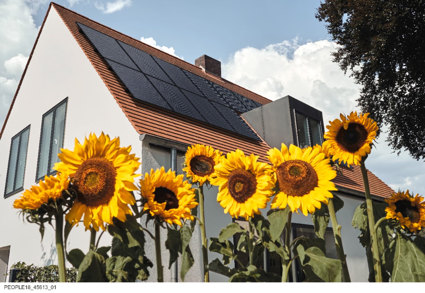 O casa cu panouri solare cu floarea-soarelui in prim plan