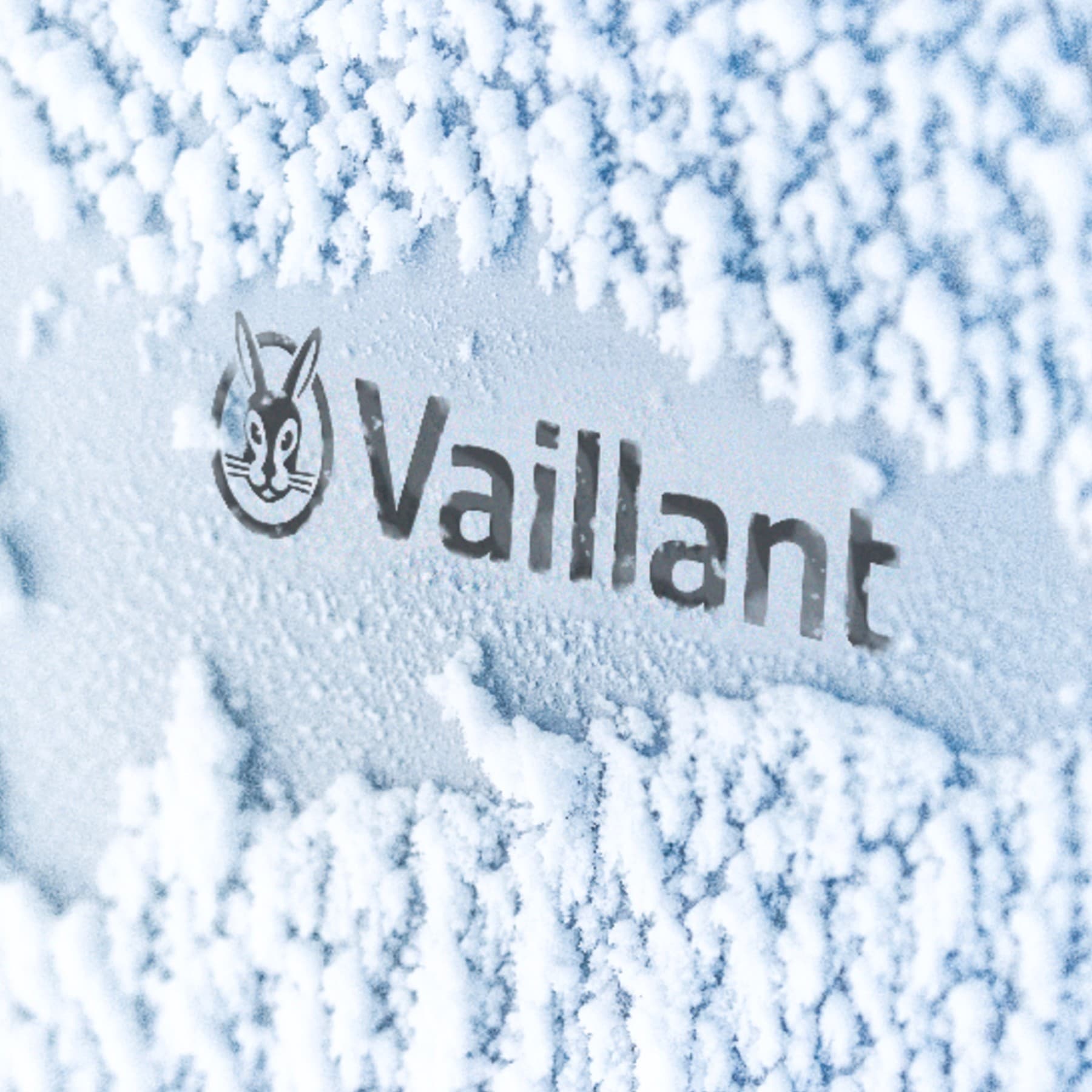 Logo Vaillant pe o pompa de caldura acoperita de zapada