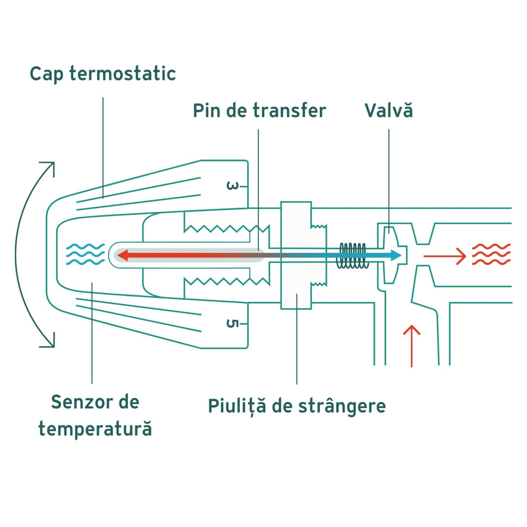 Schema unui robinet termostatic pentru radiator